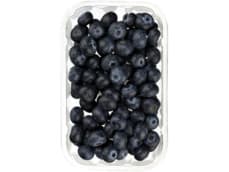 Hoogvliet Blauwe bessen