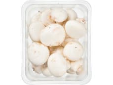 Hoogvliet Champignons