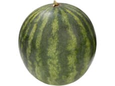 Hoogvliet Watermeloen