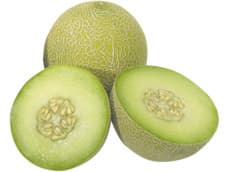 Hoogvliet Galia meloen