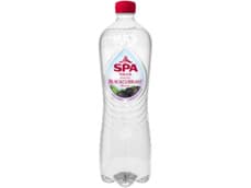 Spa TOUCH Koolzuurhoudend Blackcurrant