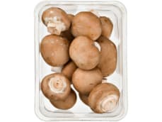 Hoogvliet Kastanjechampignons
