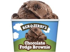 Ben & Jerry's Mini cup IJs Chocolate Fudge Brownie