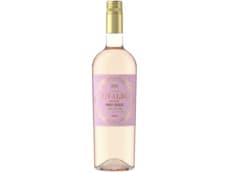 Vivaldo Pinot grigio blush rose