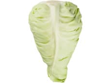 Hoogvliet Spitskool stuks