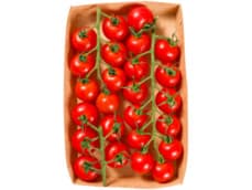 Dulcita Tros cherrytomaten