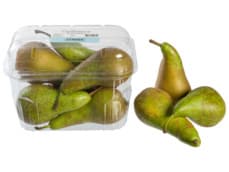 Streek Conference handperen