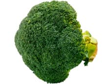 Hoogvliet Broccoli