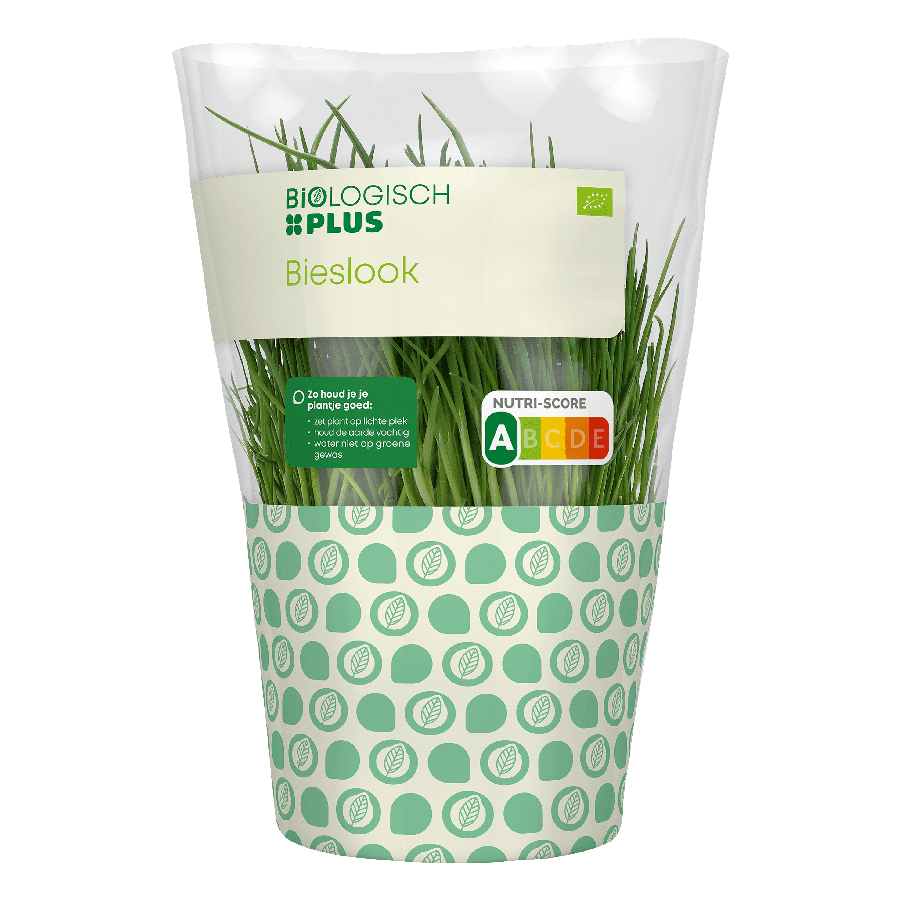 Biologisch PLUS Bieslook