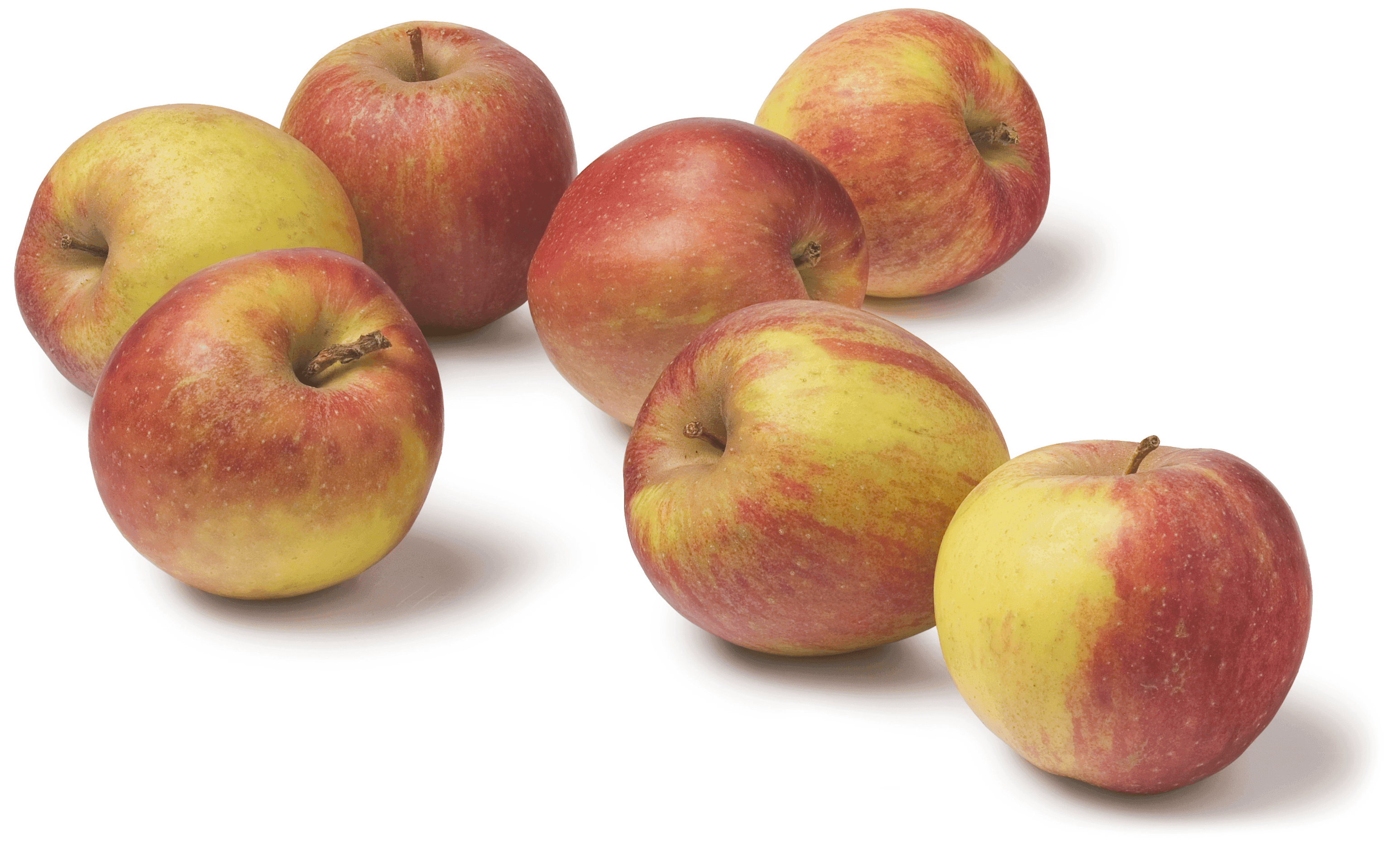 PLUS Appels Goudreinet