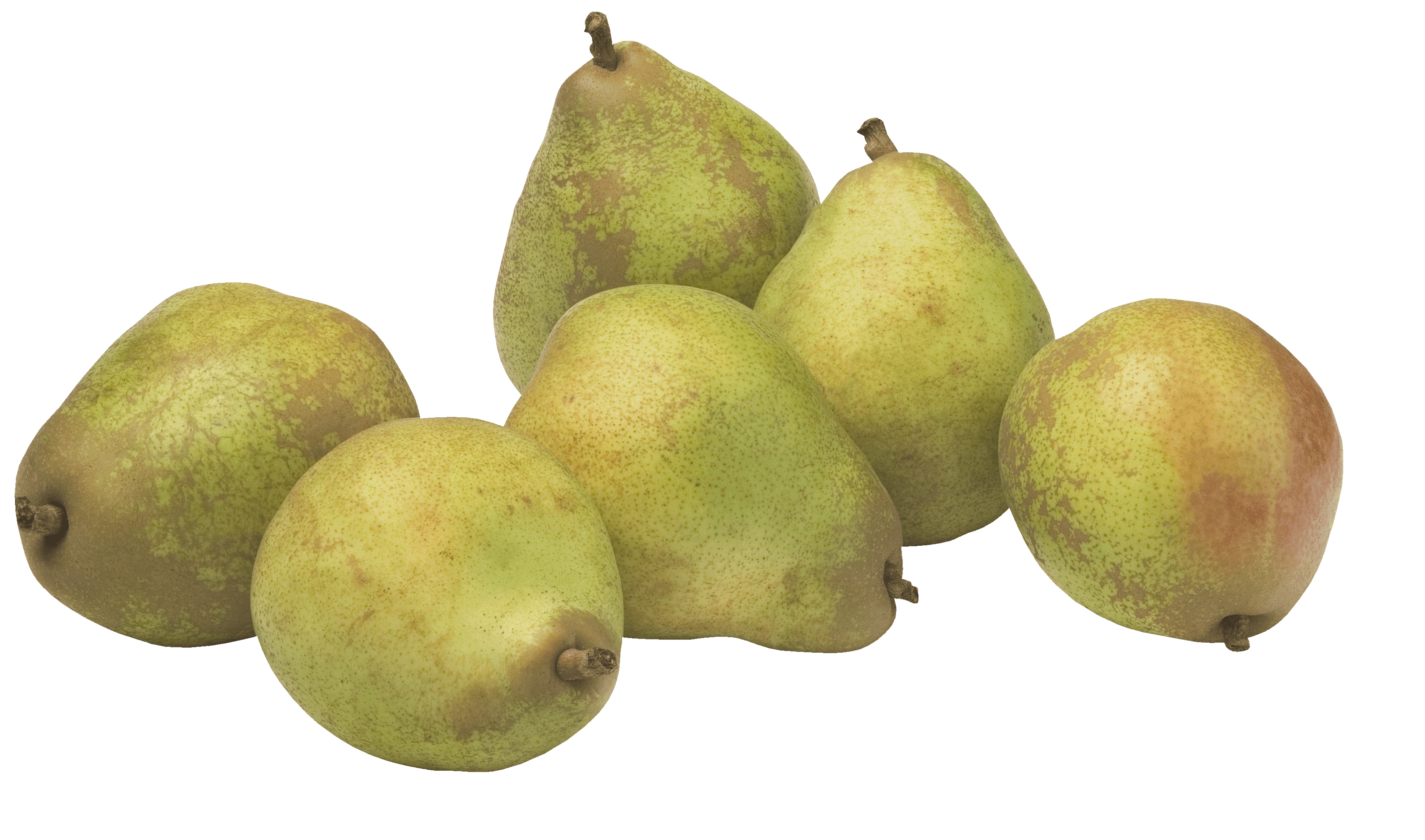 PLUS Handperen Doyenne du comice