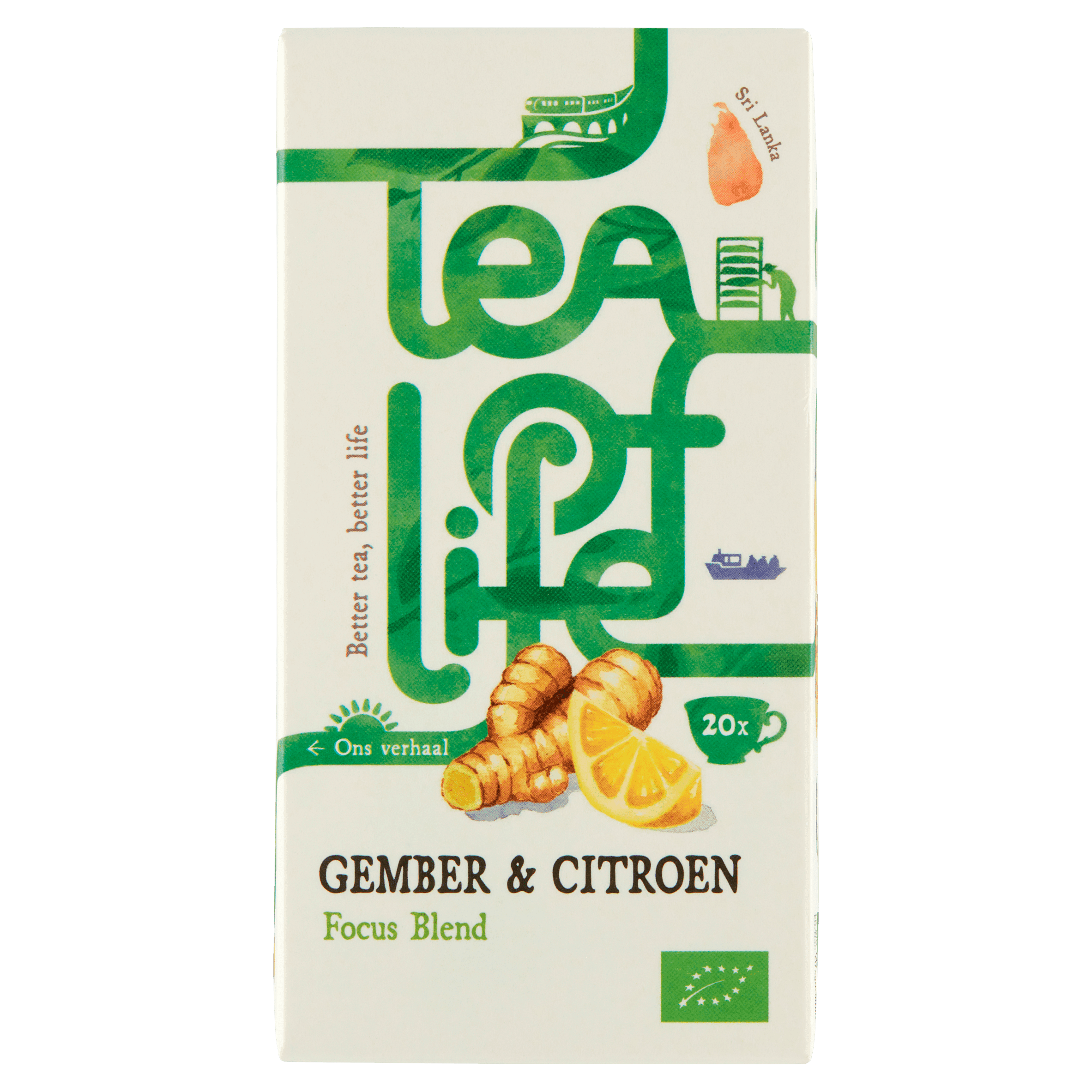 Tea of Life Focus Blend gember citroen