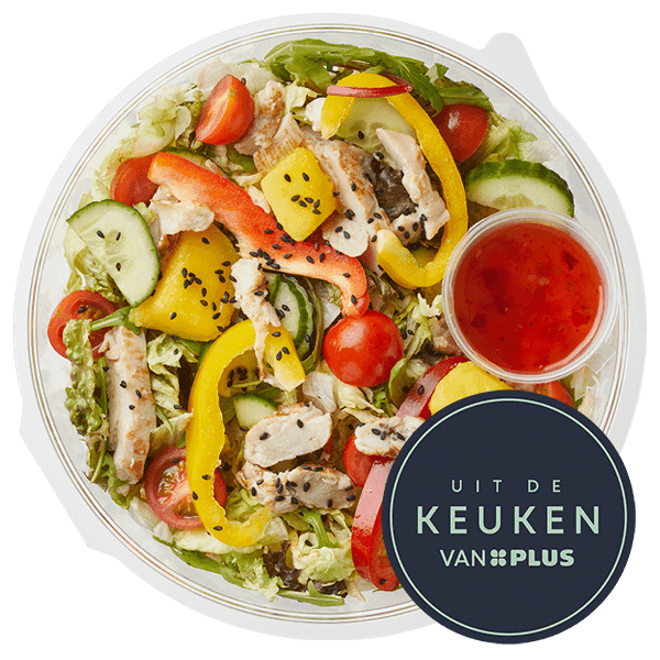 Uit de keuken van PLUS Salade mihoen met kip