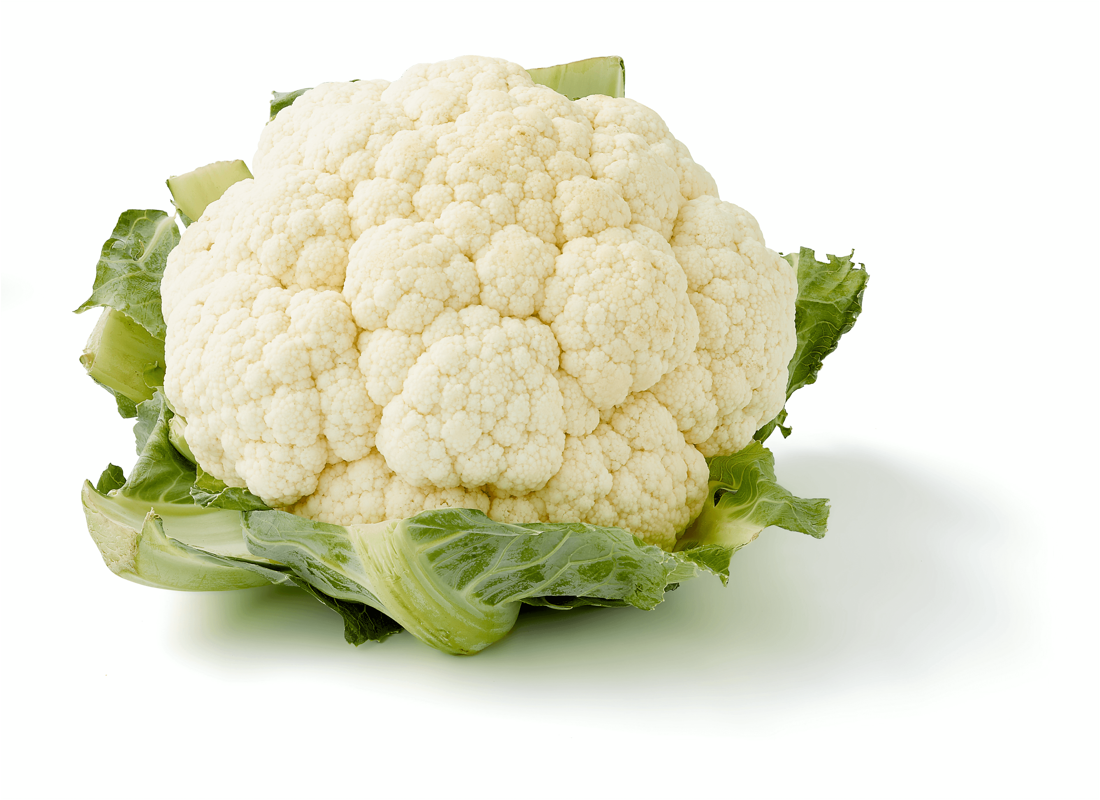 Biologisch PLUS Bloemkool