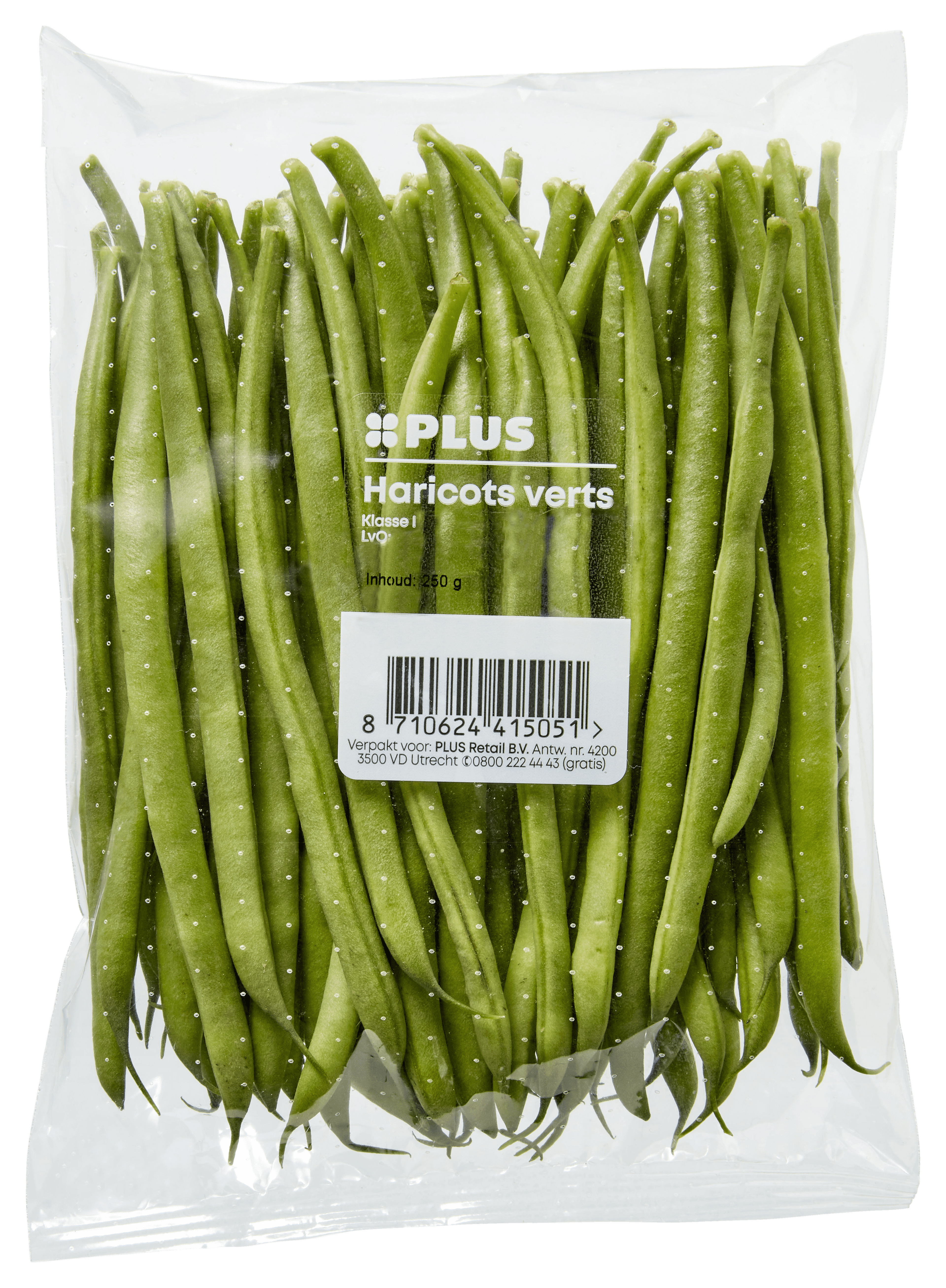 PLUS Haricots verts