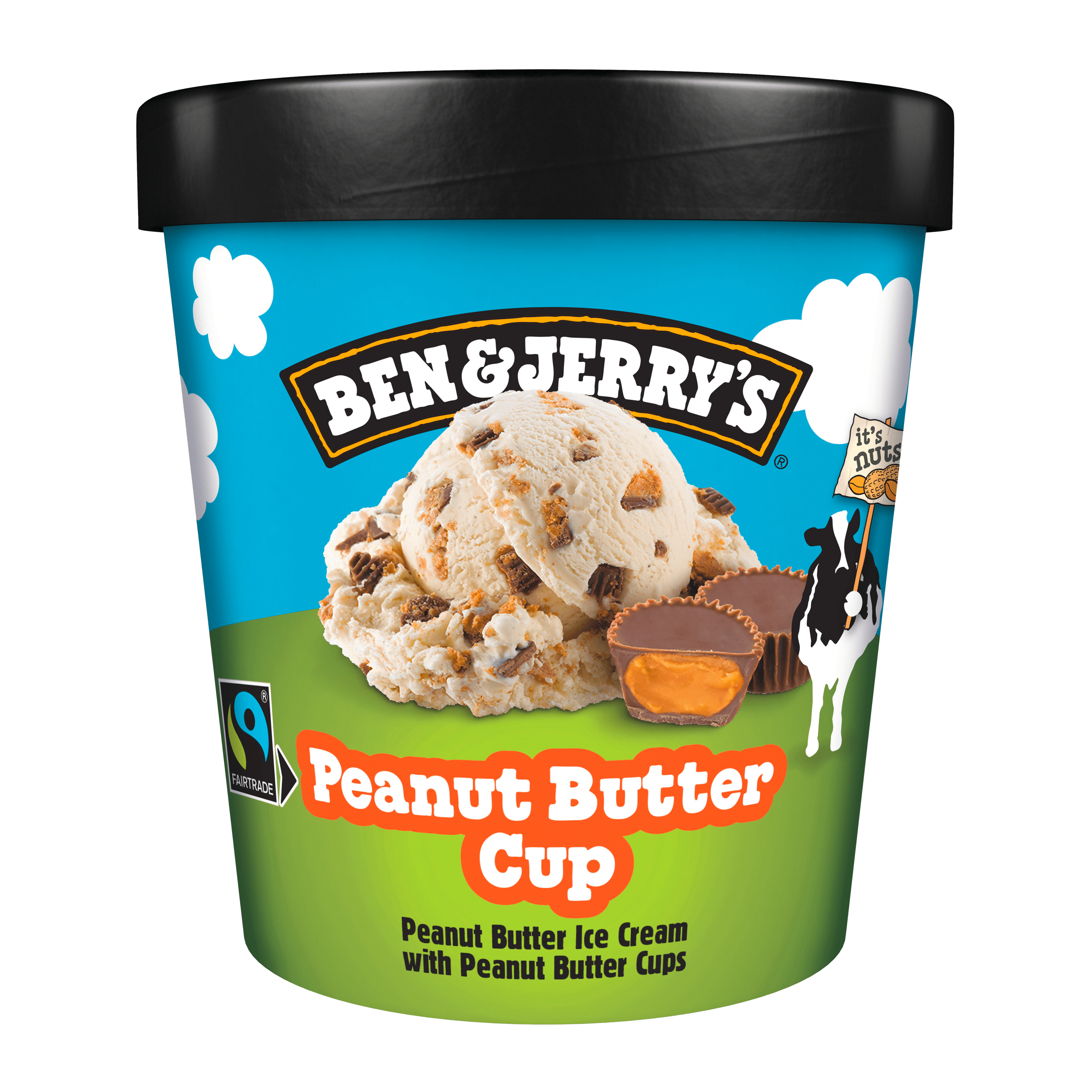 Ben&Jerry's B&J?s Peanut Butter Cup