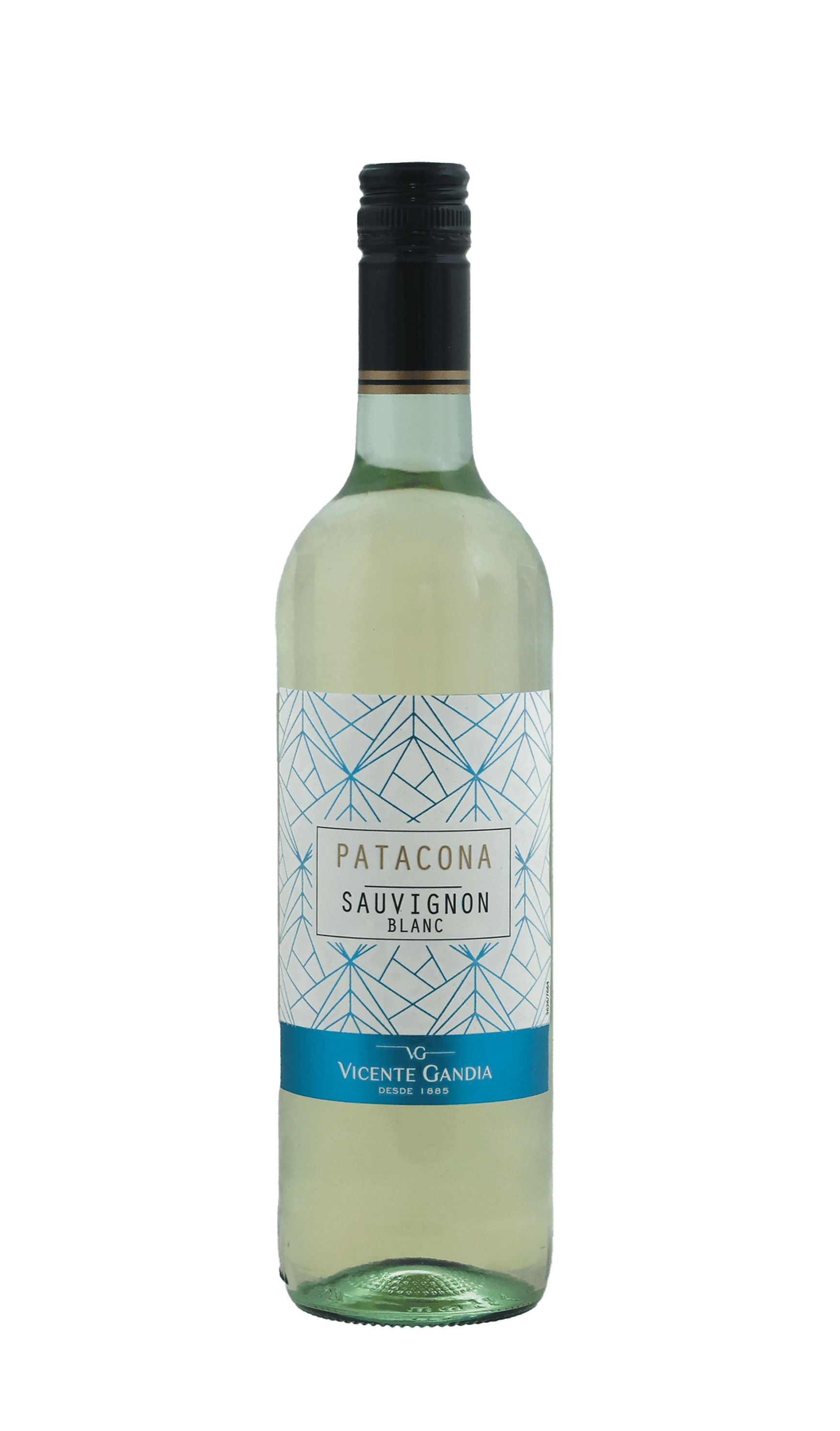Vicente Gandia Patacona Sauvignon Blanc