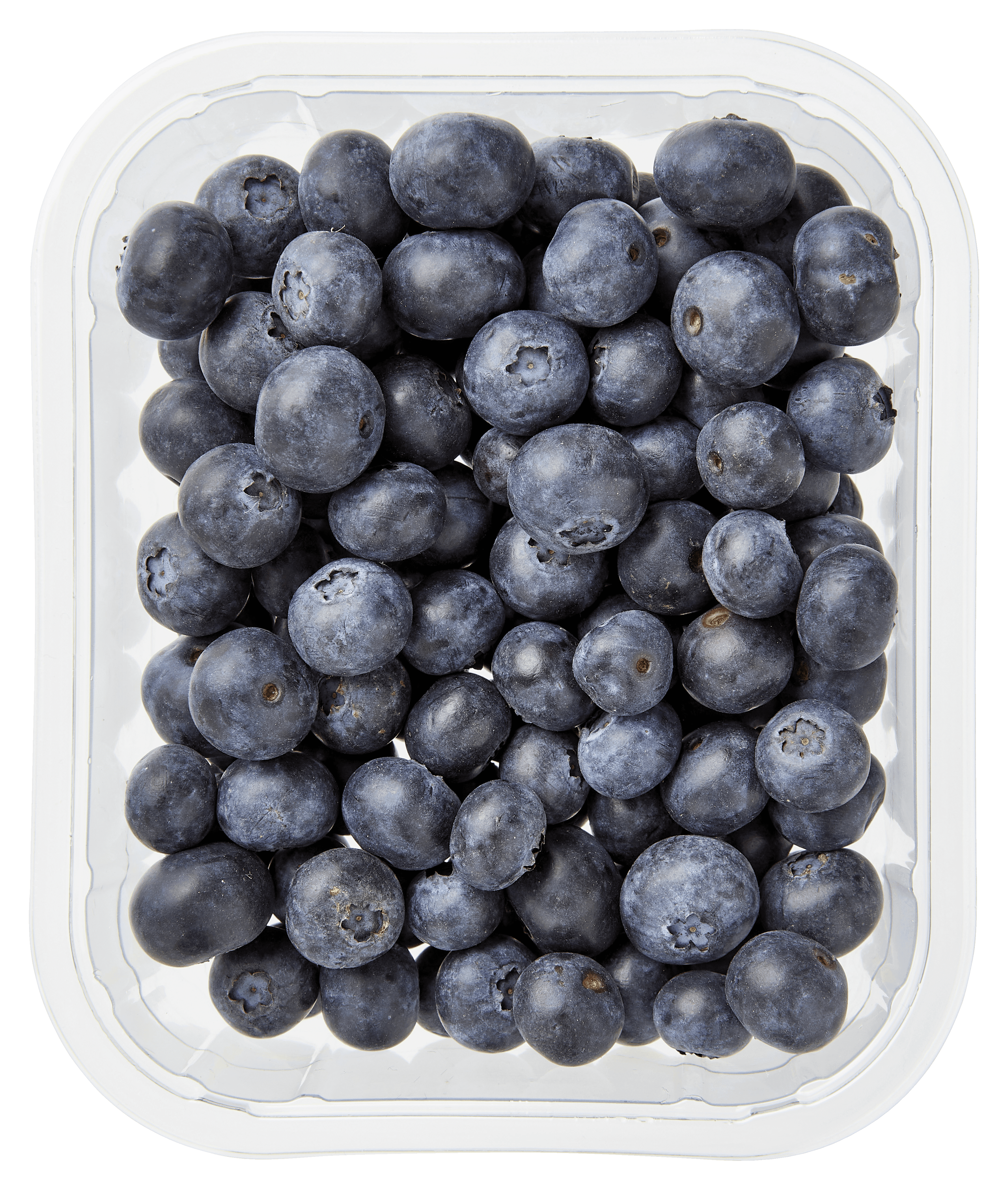 Biologisch PLUS Blauwe bessen biologisch