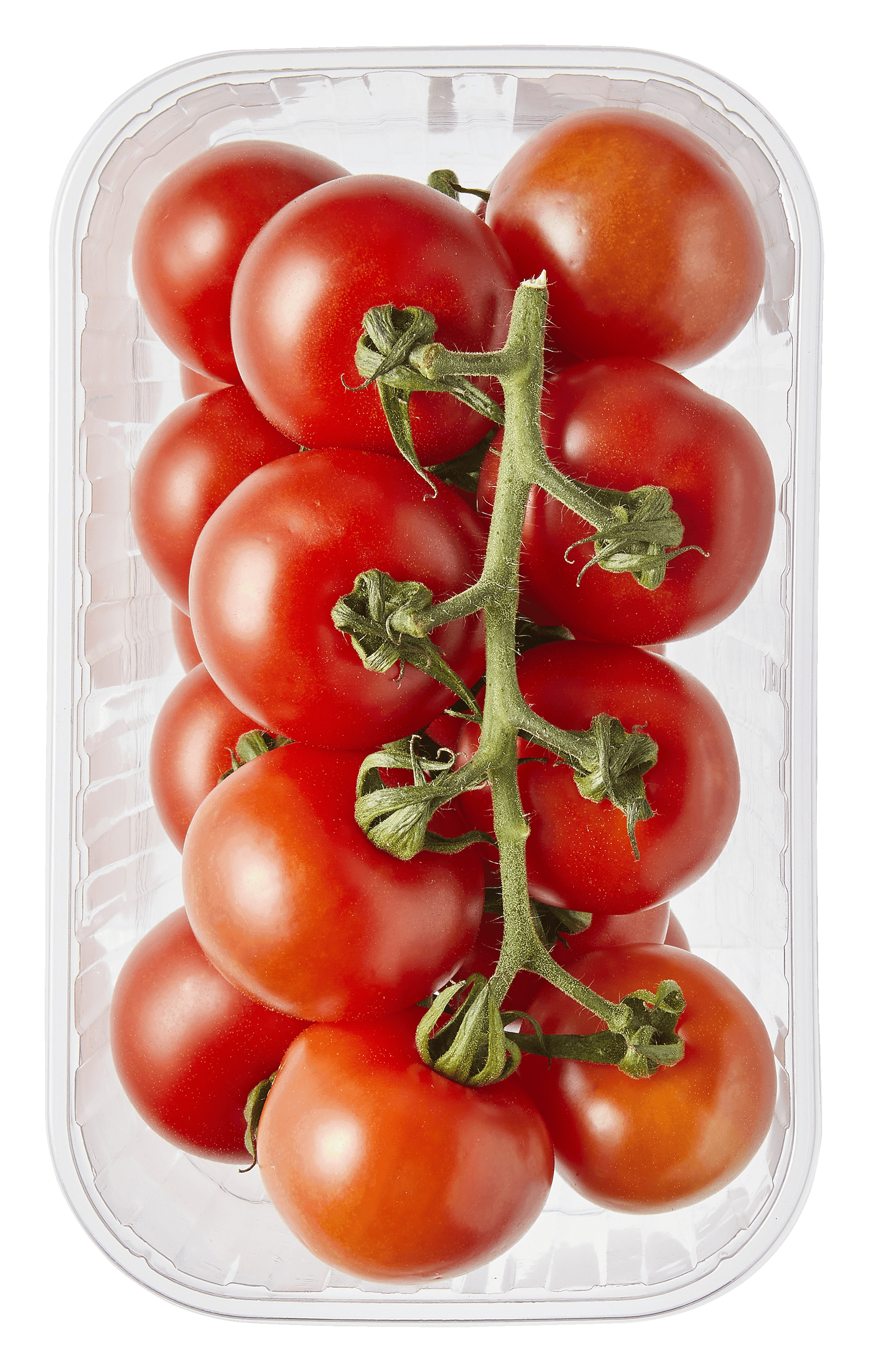 PLUS Cocktailtrostomaten