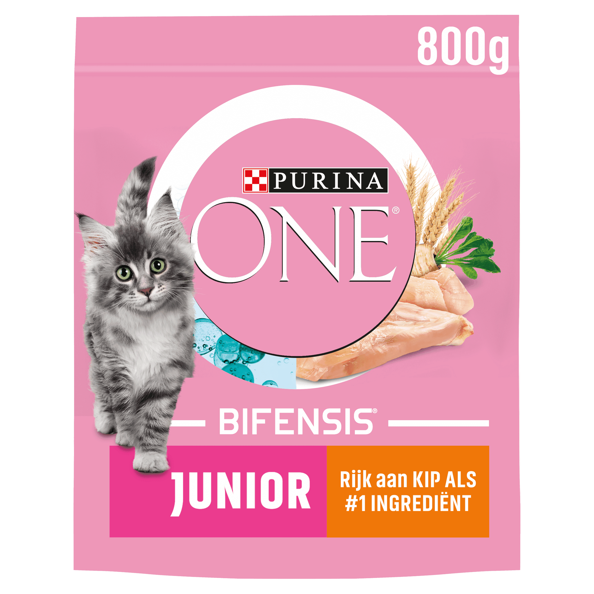 Purina One Junior kattenvoer rijk aan kip