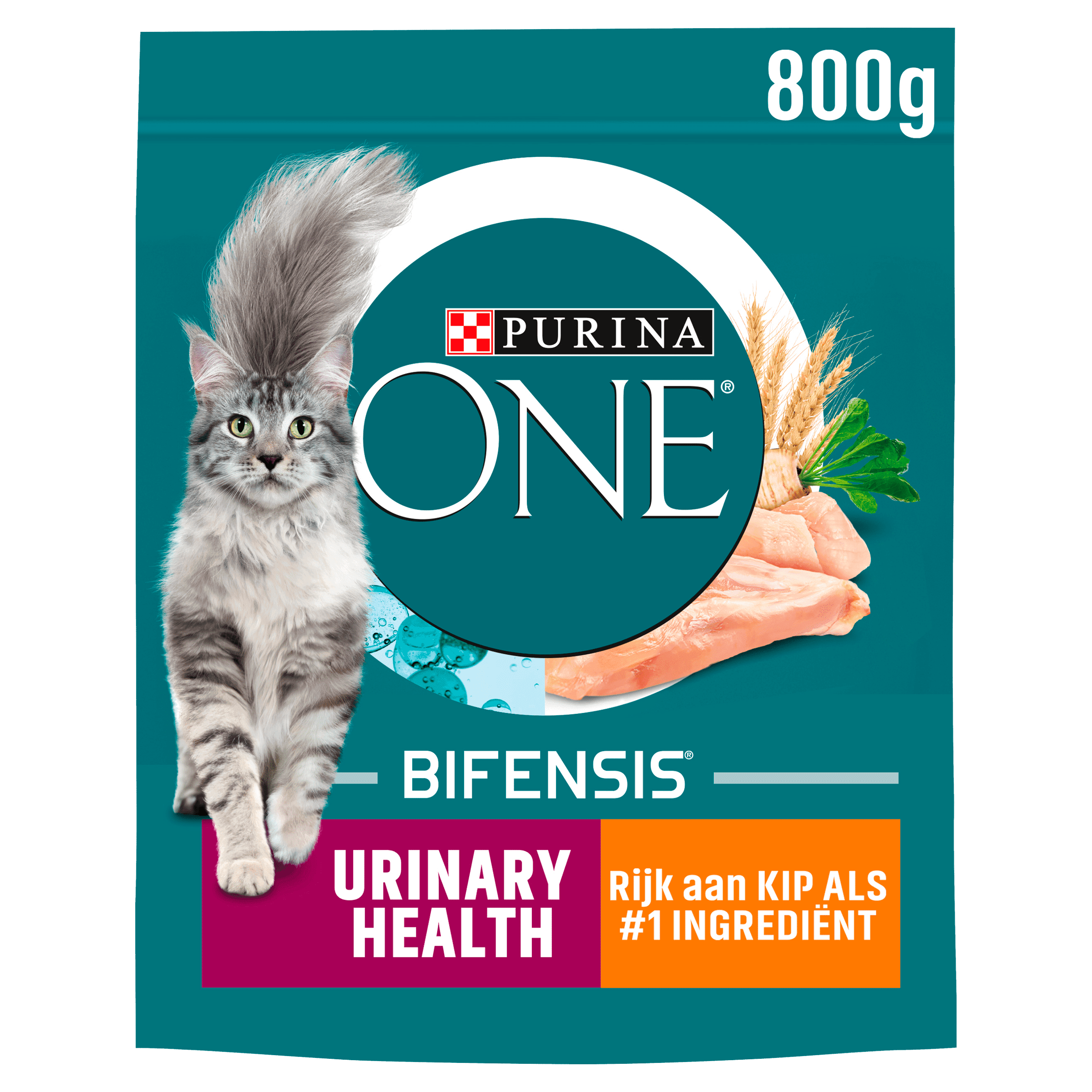 Purina One Urinary Health