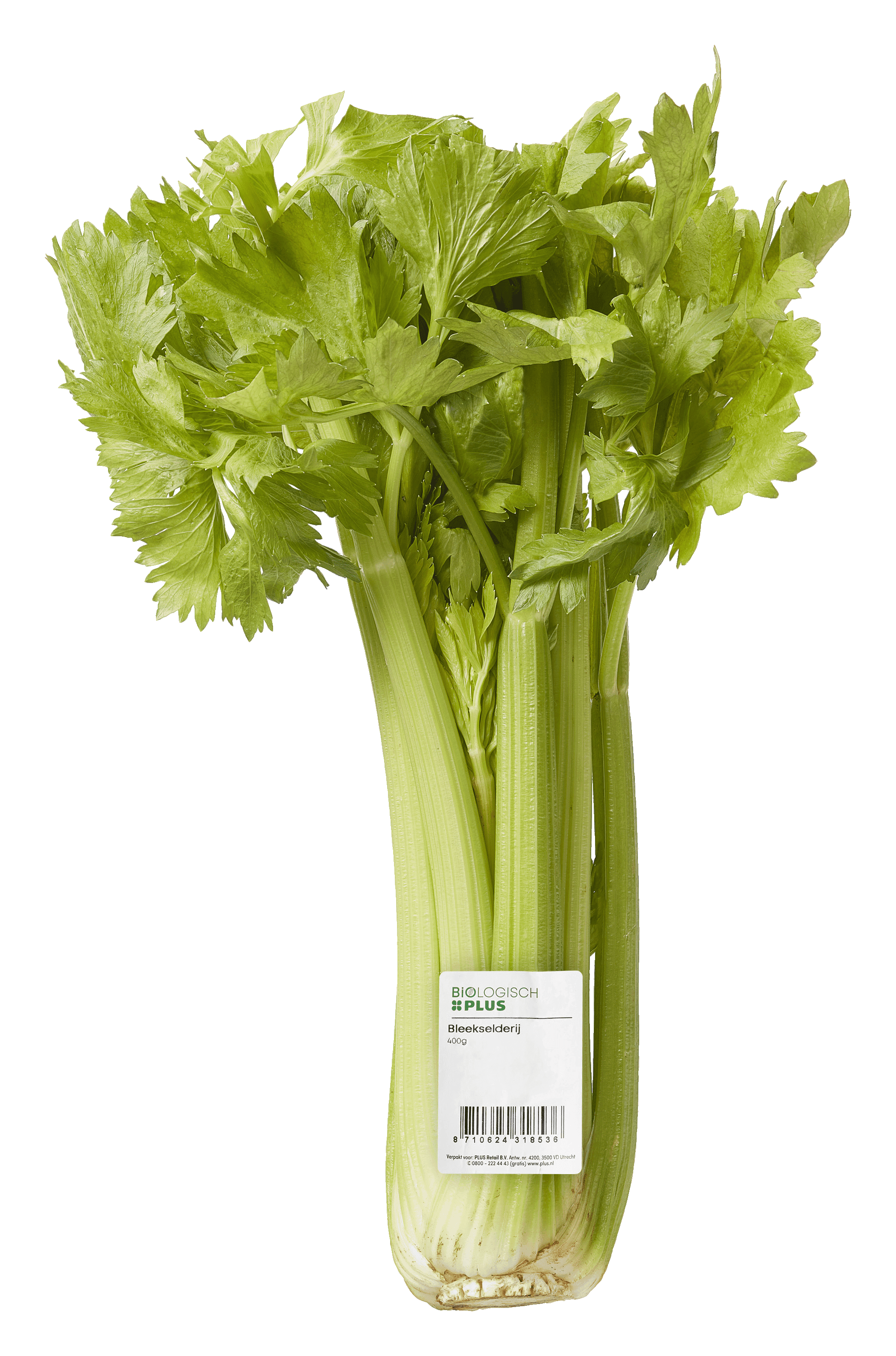 Biologisch PLUS Bleekselderij