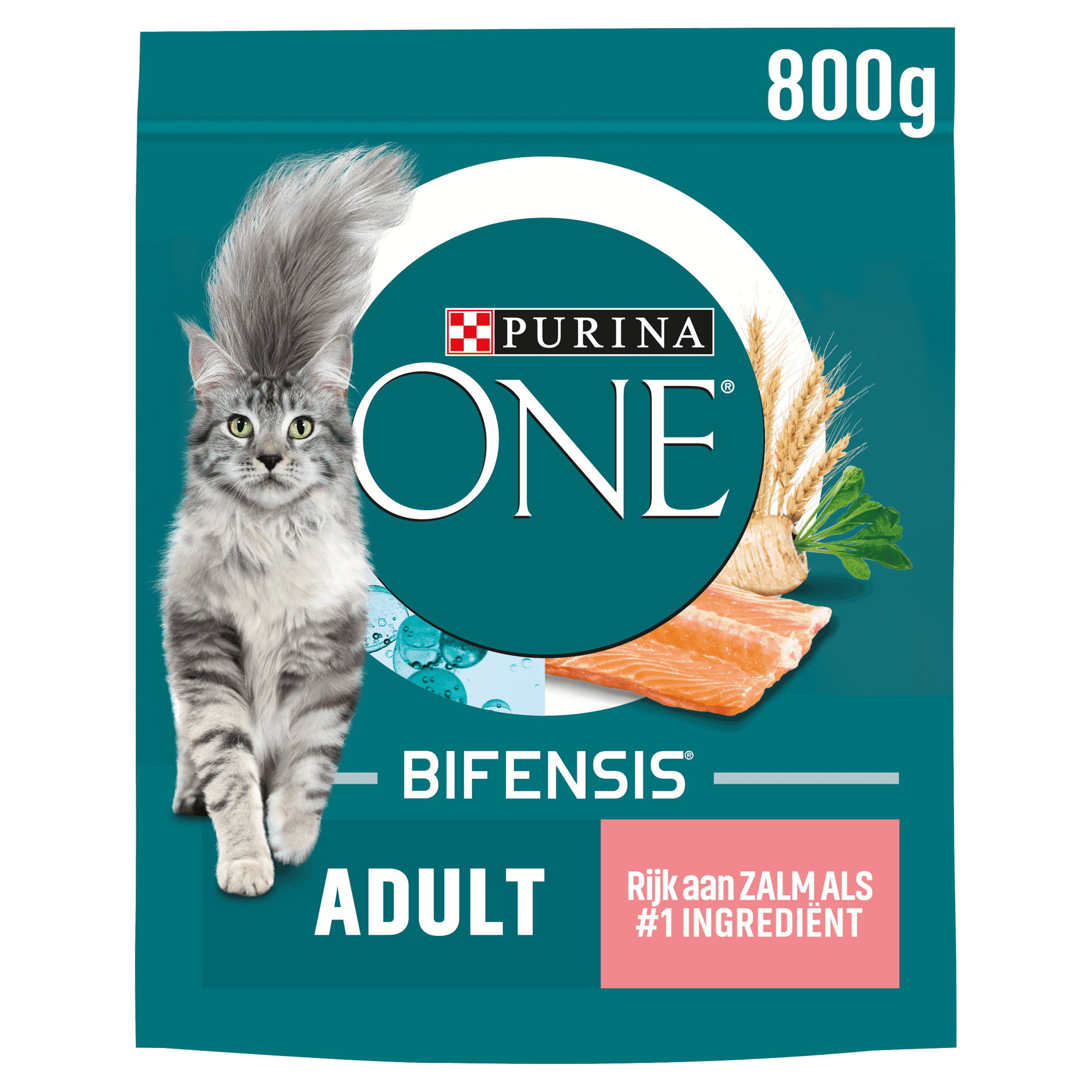 Purina One Adult kattenvoer rijk aan zalm