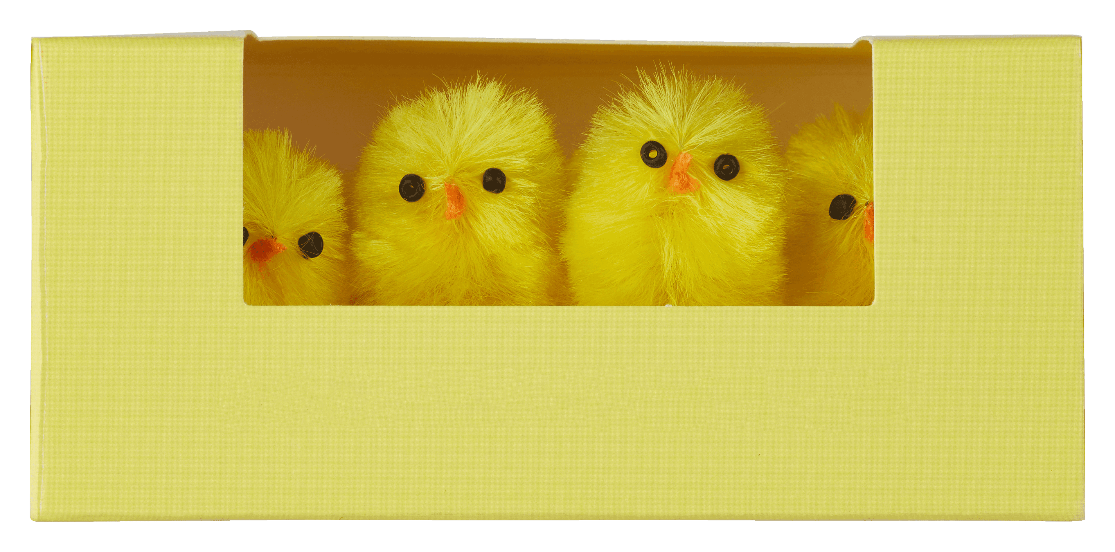 Avec Pasen chenille kuikens