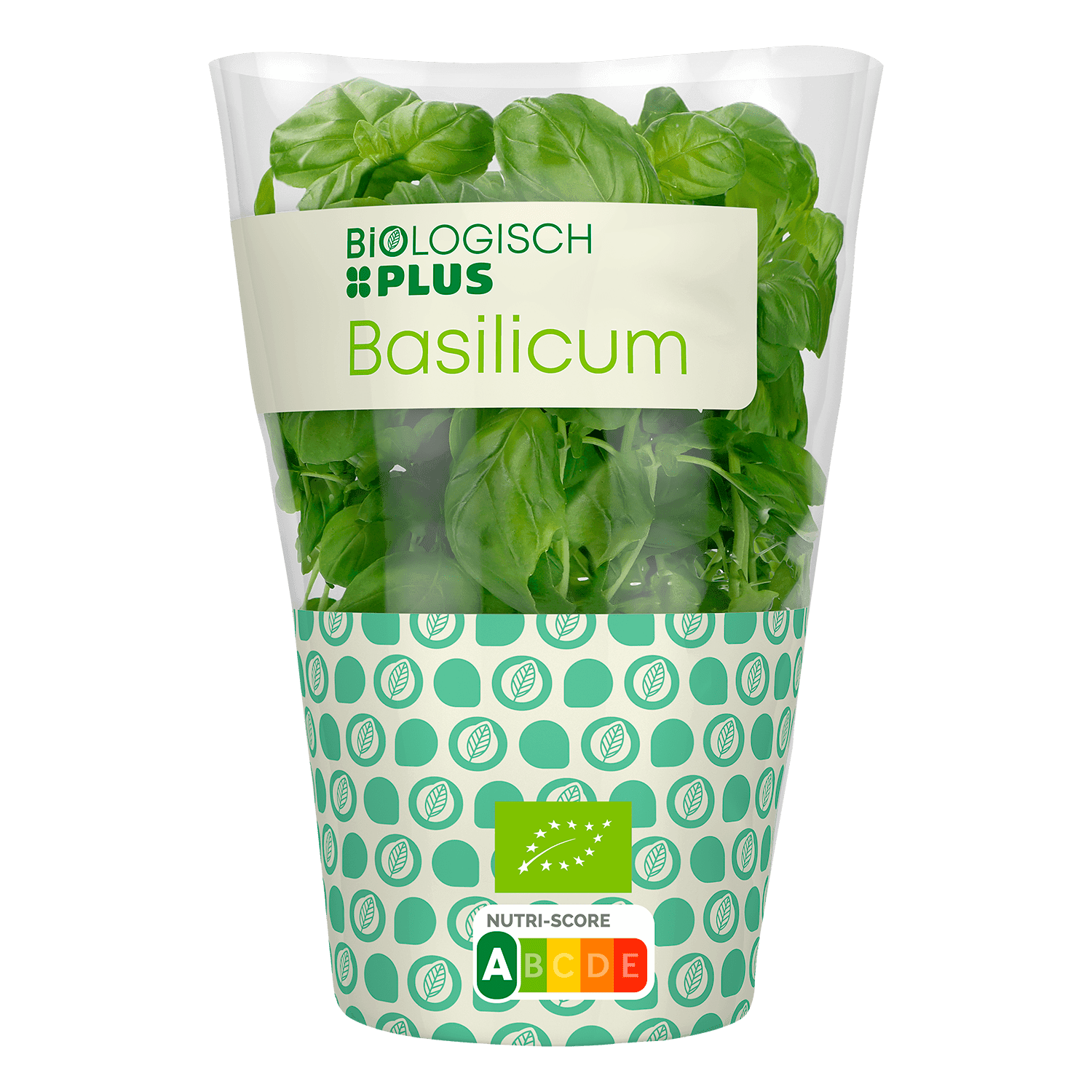 Biologisch PLUS Basilicum