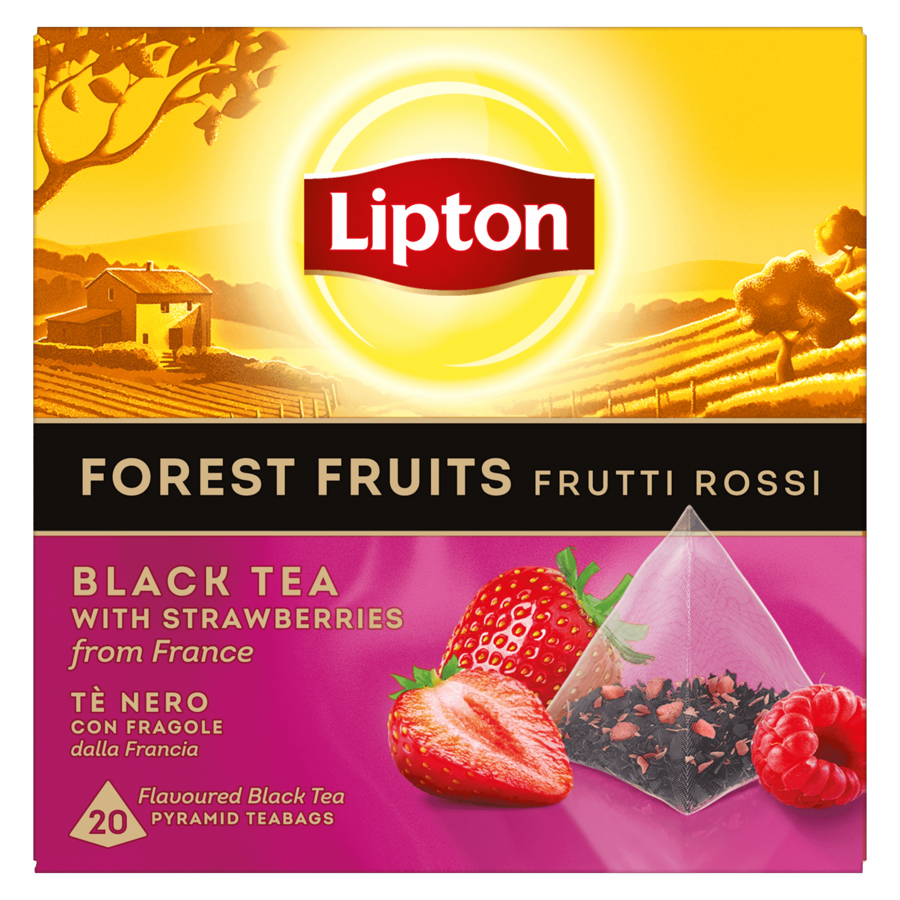 Lipton  Zwarte thee Forest Fruit 