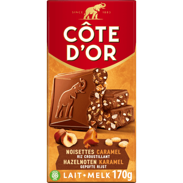 Cote D'or Melk Hazelnoot Chocolade Reep 170g