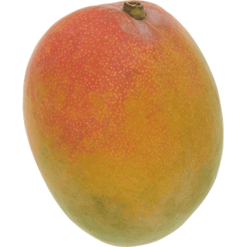 Jumbo Mango