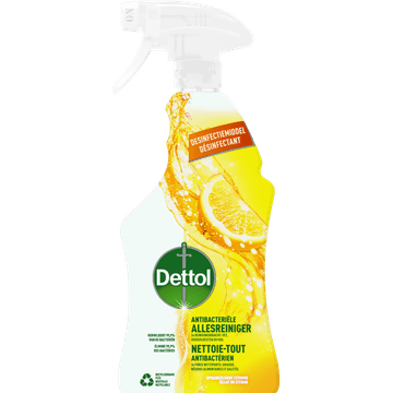 Dettol Spray Citrus 750 ML