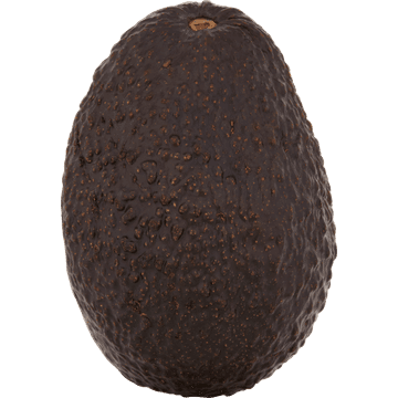Jumbo Avocado