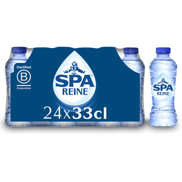 SPA REINE Natuurlijk Mineraalwater 33cl