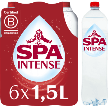 SPA INTENSE Bruisend Natuurlijk Mineraalwater 6x1,5L