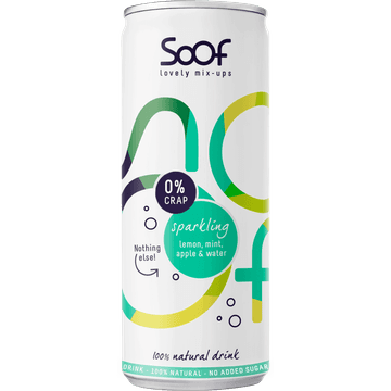 Sparkling Natural Drink with Lemon, Mint, Apple and Water 250ML