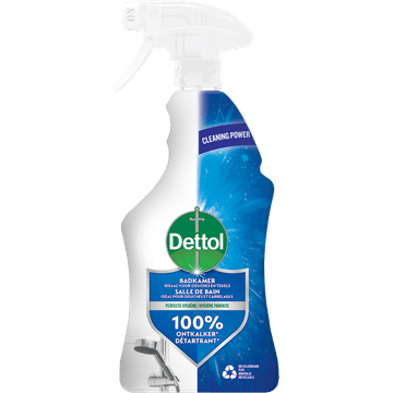 Dettol Spray Badkamer 500ML