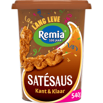 Remia Satésaus kant en klaar 540g