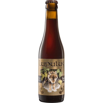 Lupulus - Bruin Bier - Fles - 330 ML