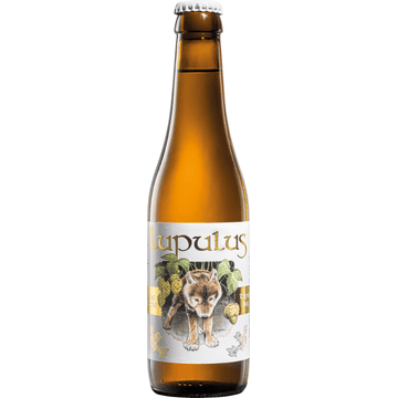 Lupulus - Tripel - Fles - 330ML