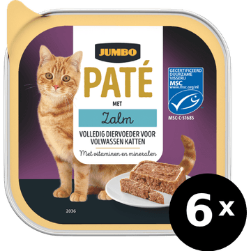 Jumbo Paté met Zalm 6 x 100 g