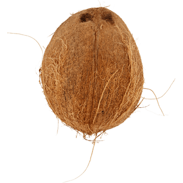 Jumbo Biologische Kokosnoot