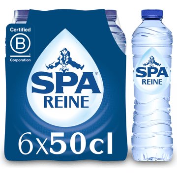 SPA REINE Natuurlijk Mineraalwater 6 x 50cl