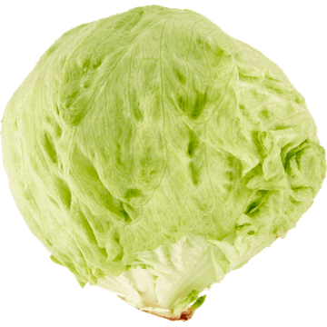 Jumbo IJsbergsla 1 Stuk