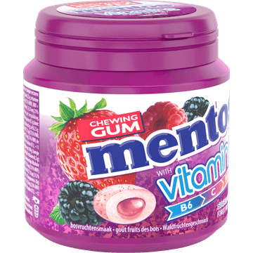 Mentos Gum Forest Fruit Mix 45 Stuks 90 g