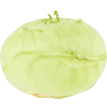 Jumbo Koolrabi