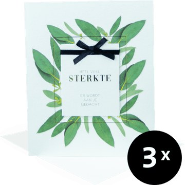 Paperclip Cards Wenskaarten Sterkte 3 Stuks