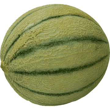 Jumbo Cantaloupe Meloen 1 Stuks